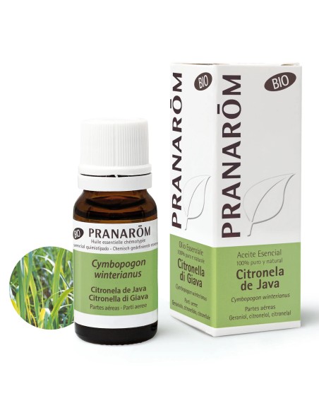 Pranarom Aceite Esencial Citronella Java BIO, 10 ml