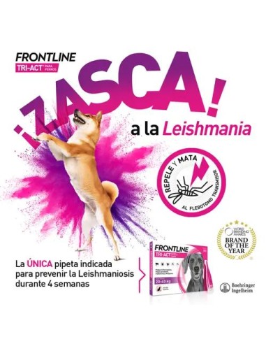 Frontline Tri-Act 2-5Kg Xs, 3 Pipetas
