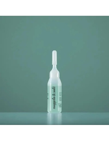 Nuggela & Sule Ampolla Tratamiento Regenerador Capilar 10 ml