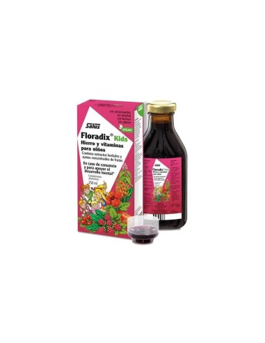 Salus Floradix Kids, 250 ml