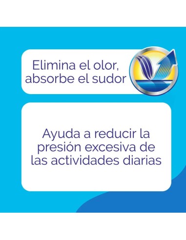 Scholl Plantilla Diaria Hombre