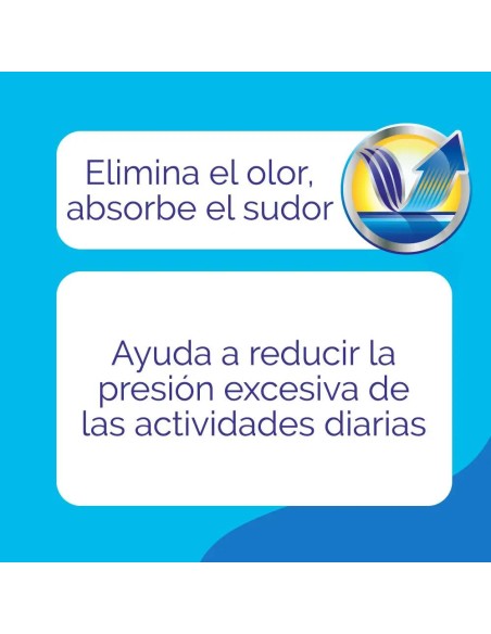 Scholl Plantilla Diaria Hombre