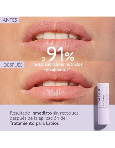Caudalie Tratamiento Para Labios, 4,5 gr