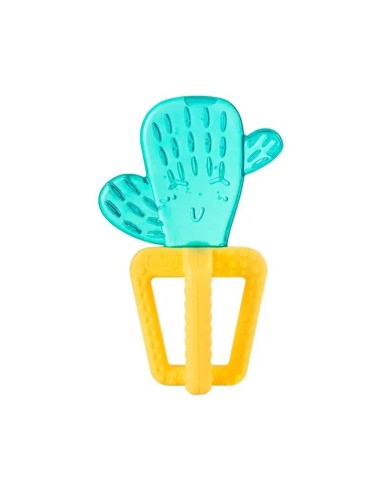 Chicco Mordedor Refreshing Cactus 4M+
